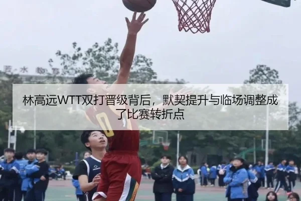 林高远WTT双打晋级背后，默契提升与临场调整成了比赛转折点